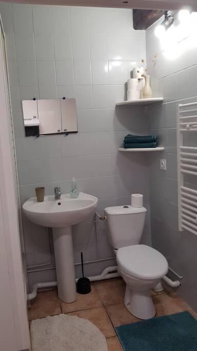 Studio Orleans Chatelet Bagian luar foto